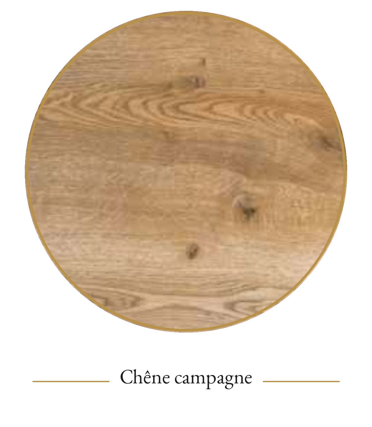 Carte chene campagne
