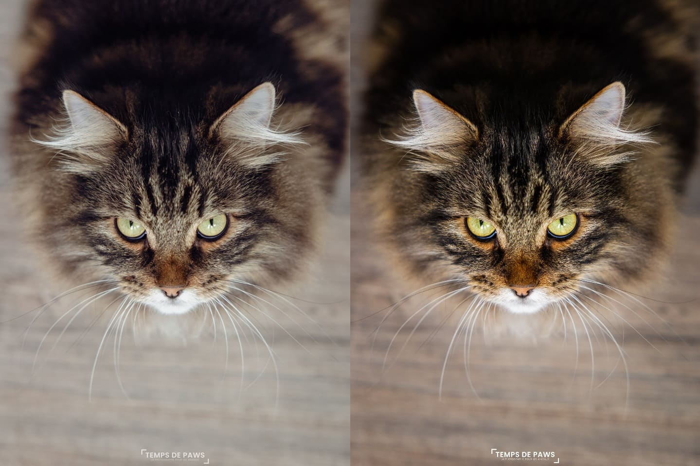 Comparaison retouche reportage vs artistique tigran light