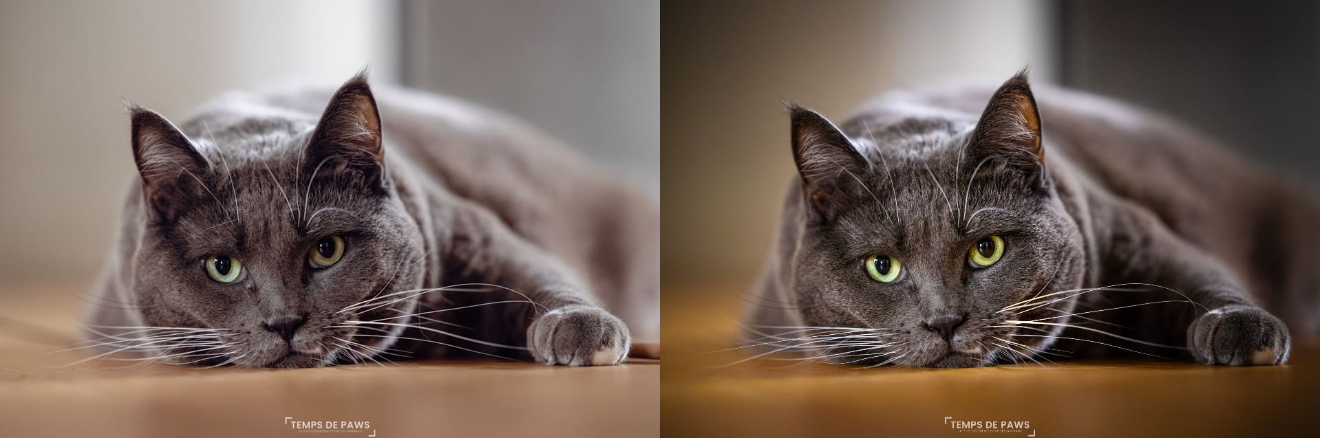 Comparaison retouche reportage vs artistique thelma light