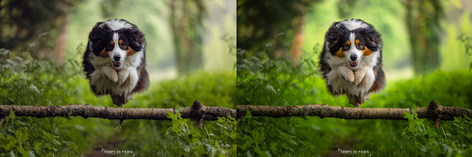 Comparaison retouche reportage vs artistique rumba light