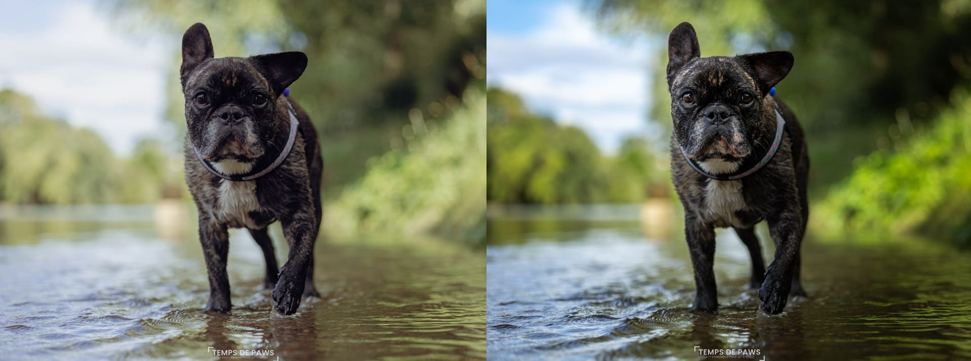 Comparaison retouche reportage vs artistique lily light