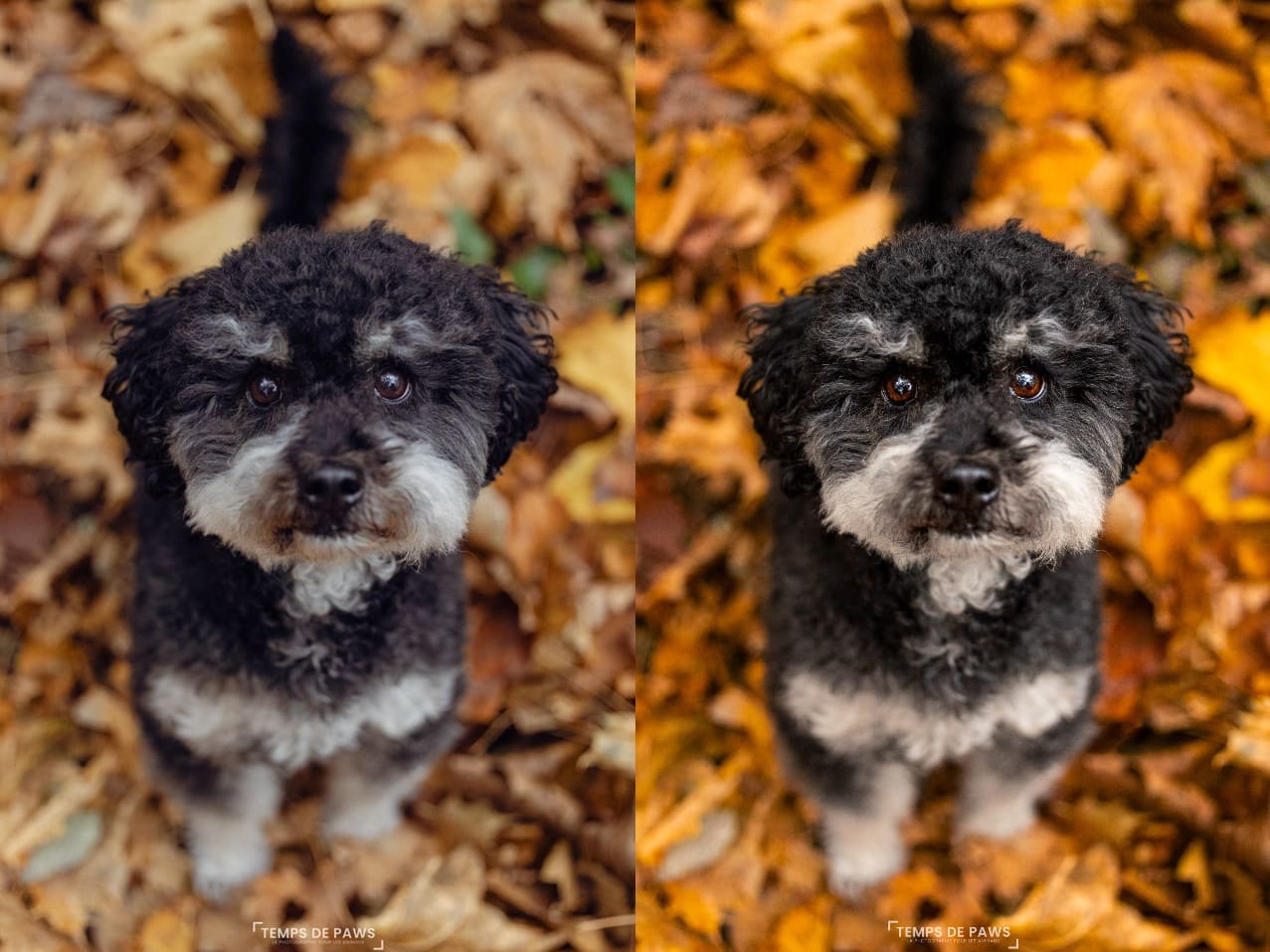 Comparaison retouche reportage vs artistique billy light