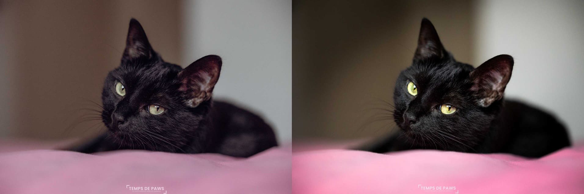 Comparaison retouche reportage vs artistique suzette