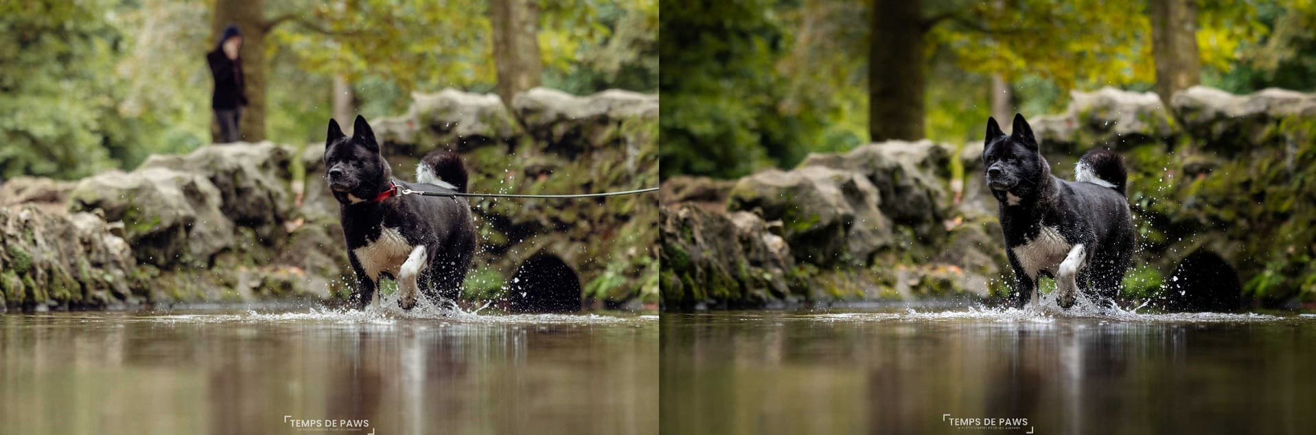 Comparaison retouche reportage vs artistique reiko