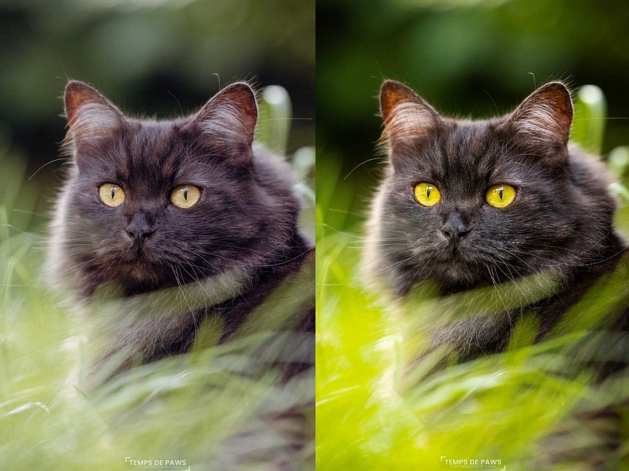 Comparaison retouche reportage vs artistique poe2