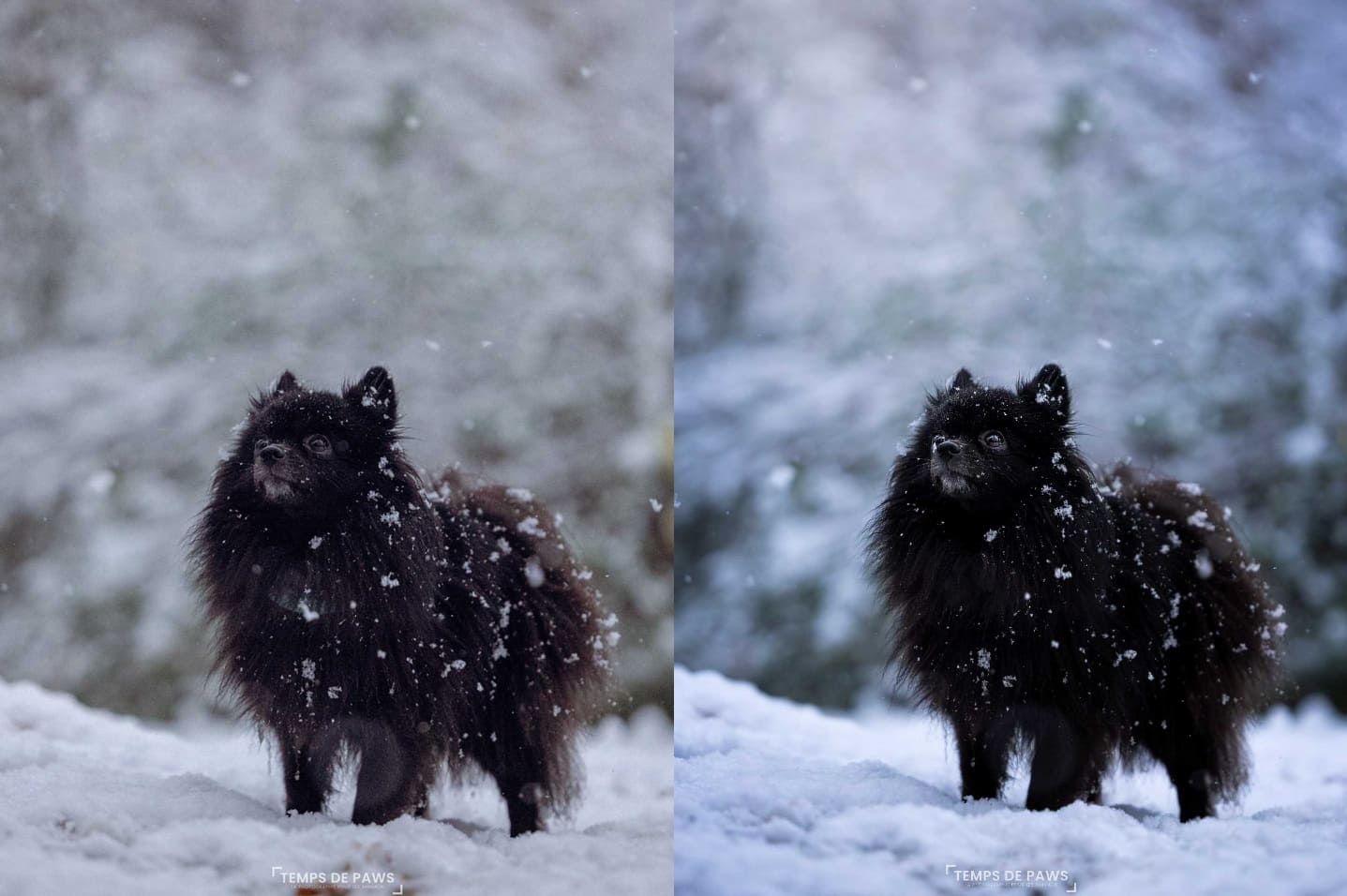 Comparaison retouche reportage vs artistique onyx