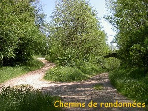 Chemins rando