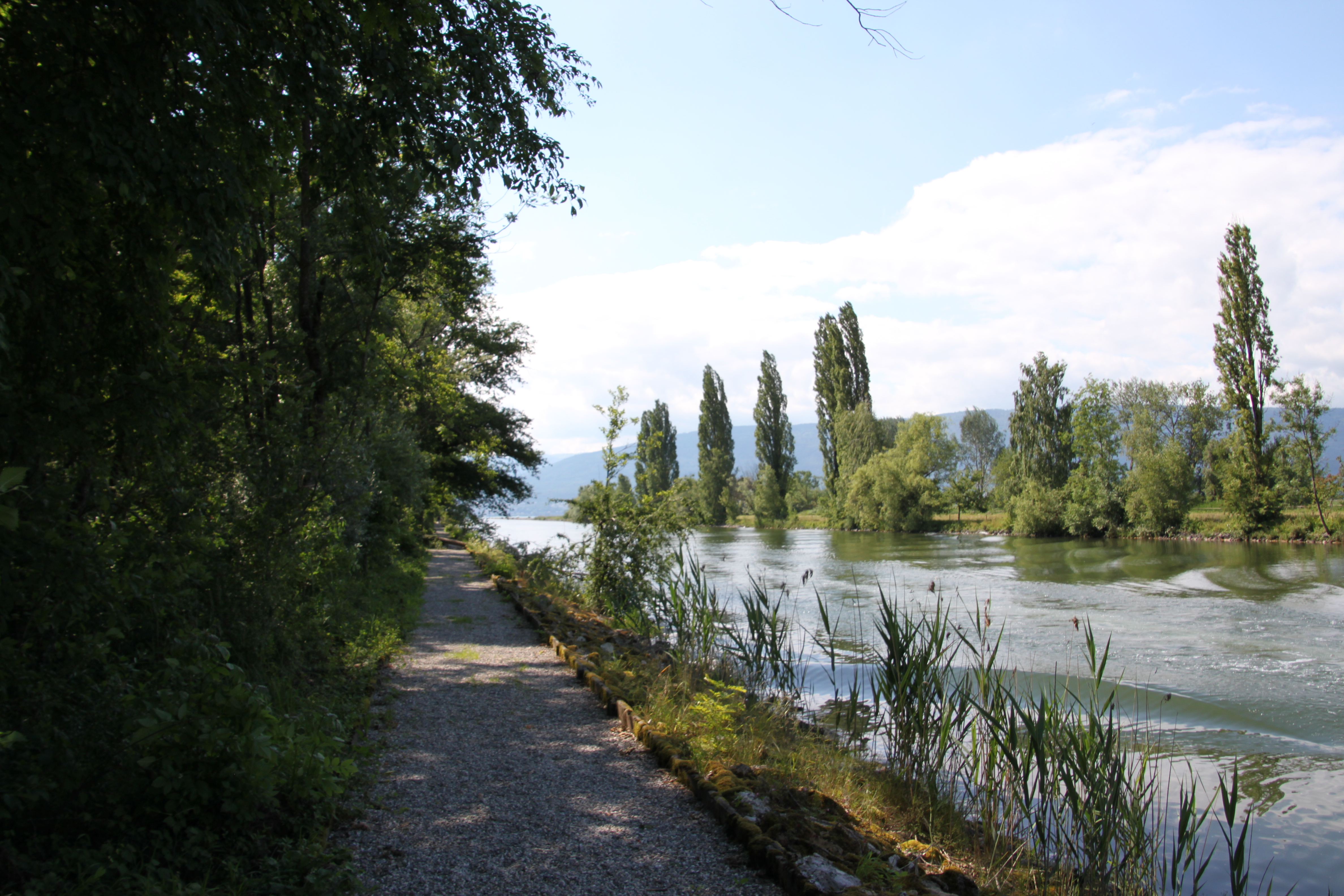 IMG 7468