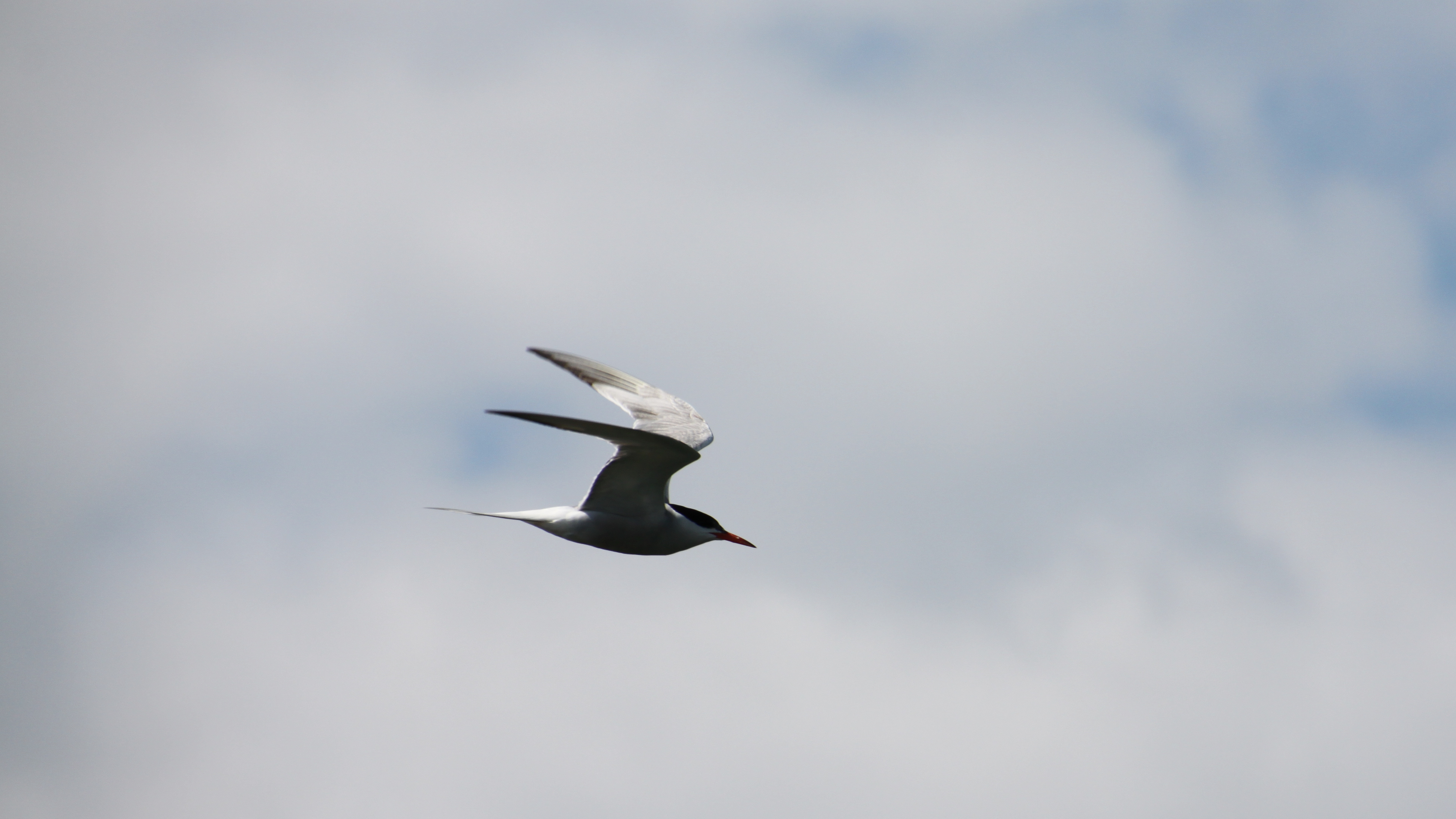 IMG 7500 1