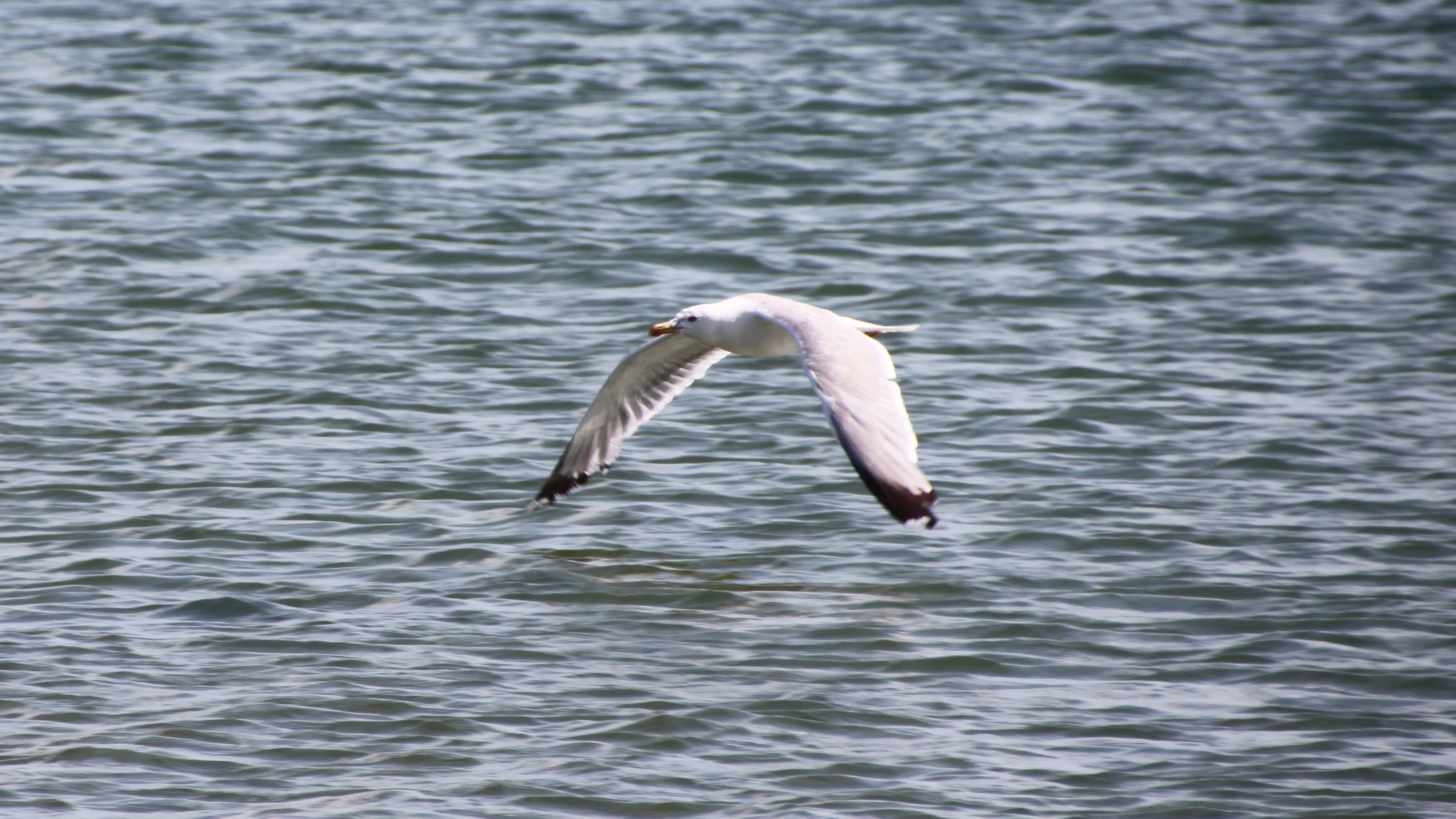 IMG 7552 1