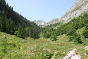 Vallon des Morteys dans la réserve naturelle du Vanil Noir en Suisse