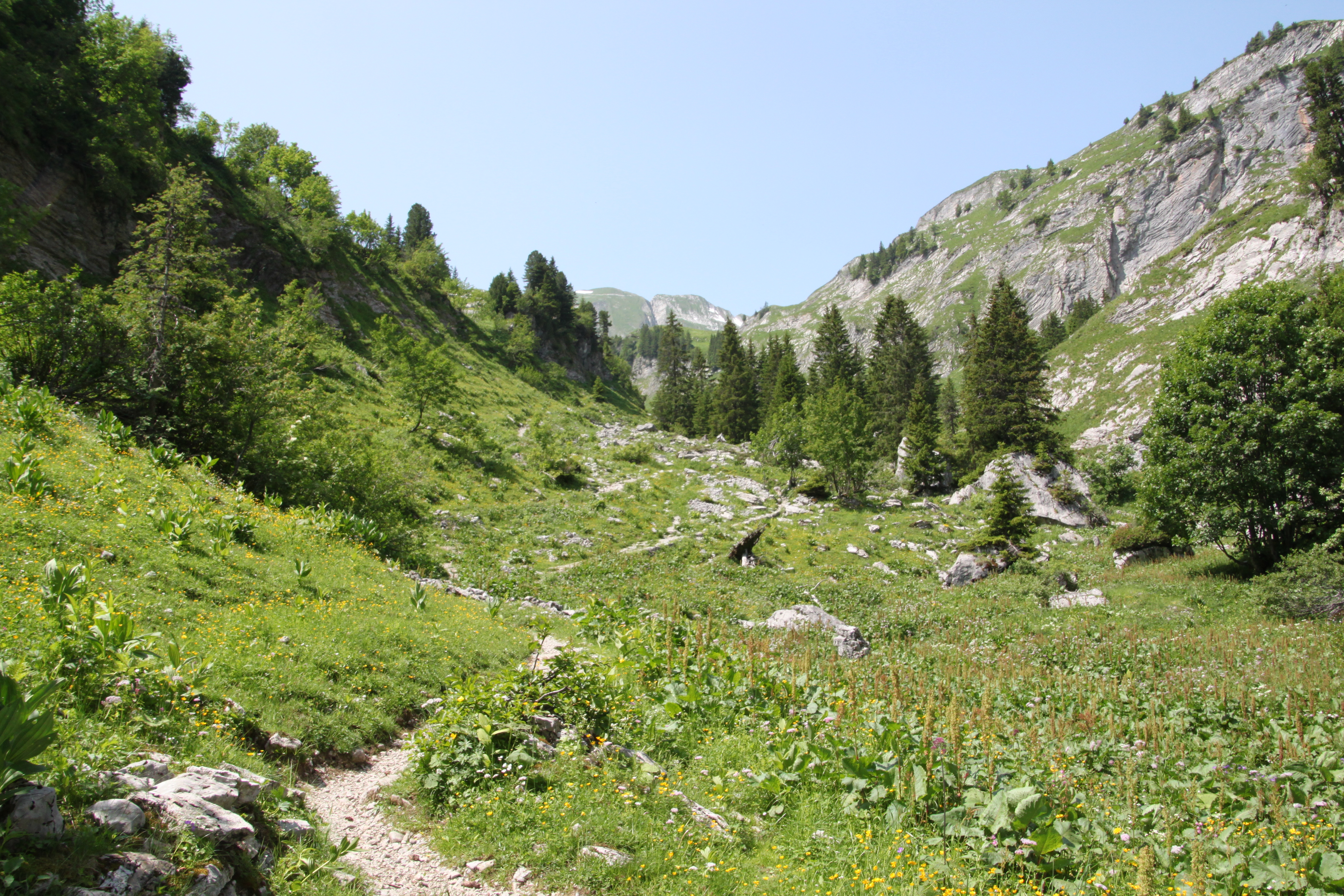 Vallon des Morteys dans la réserve naturelle du Vanil Noir en Suisse