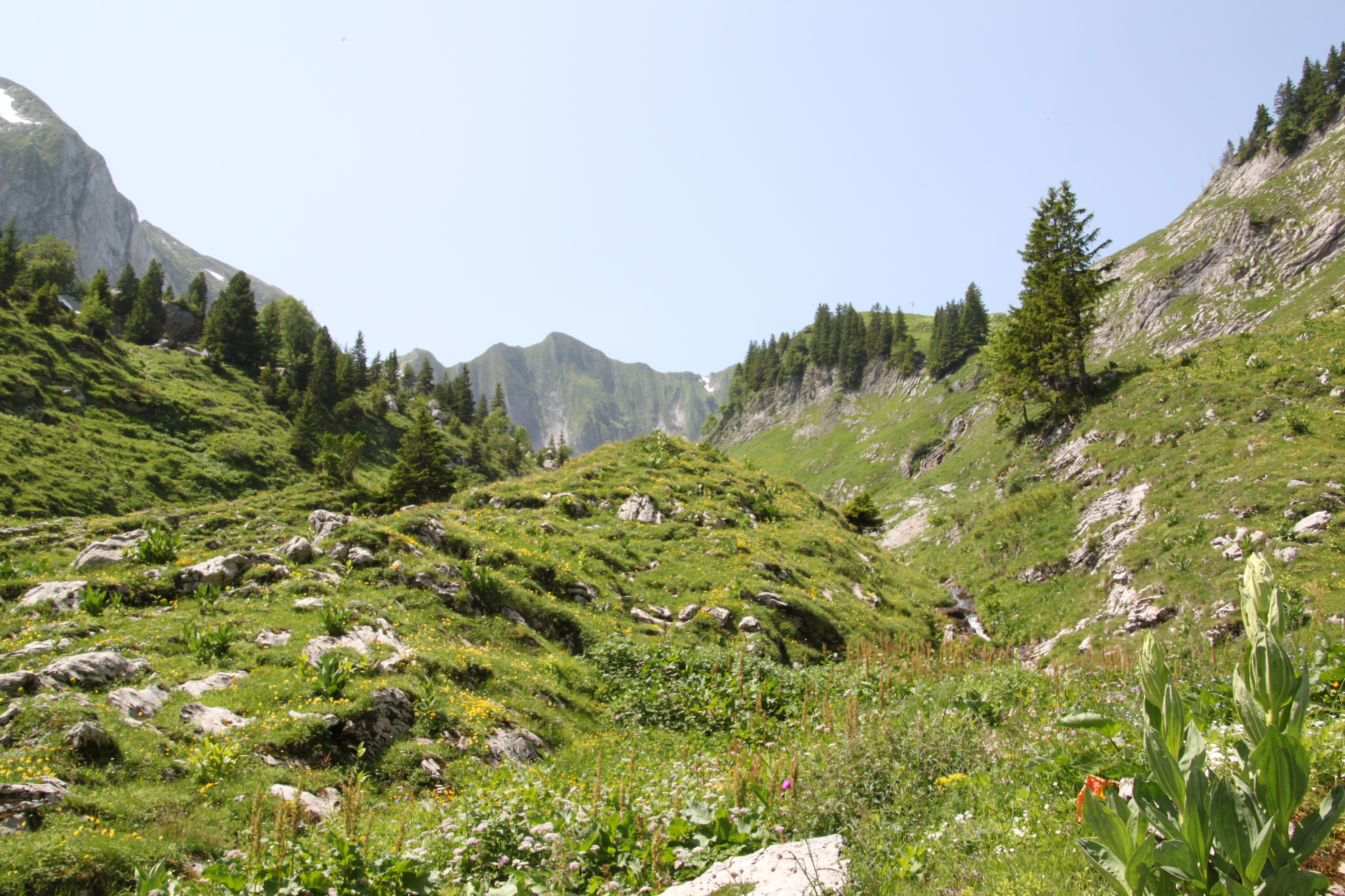 Vallon des Morteys