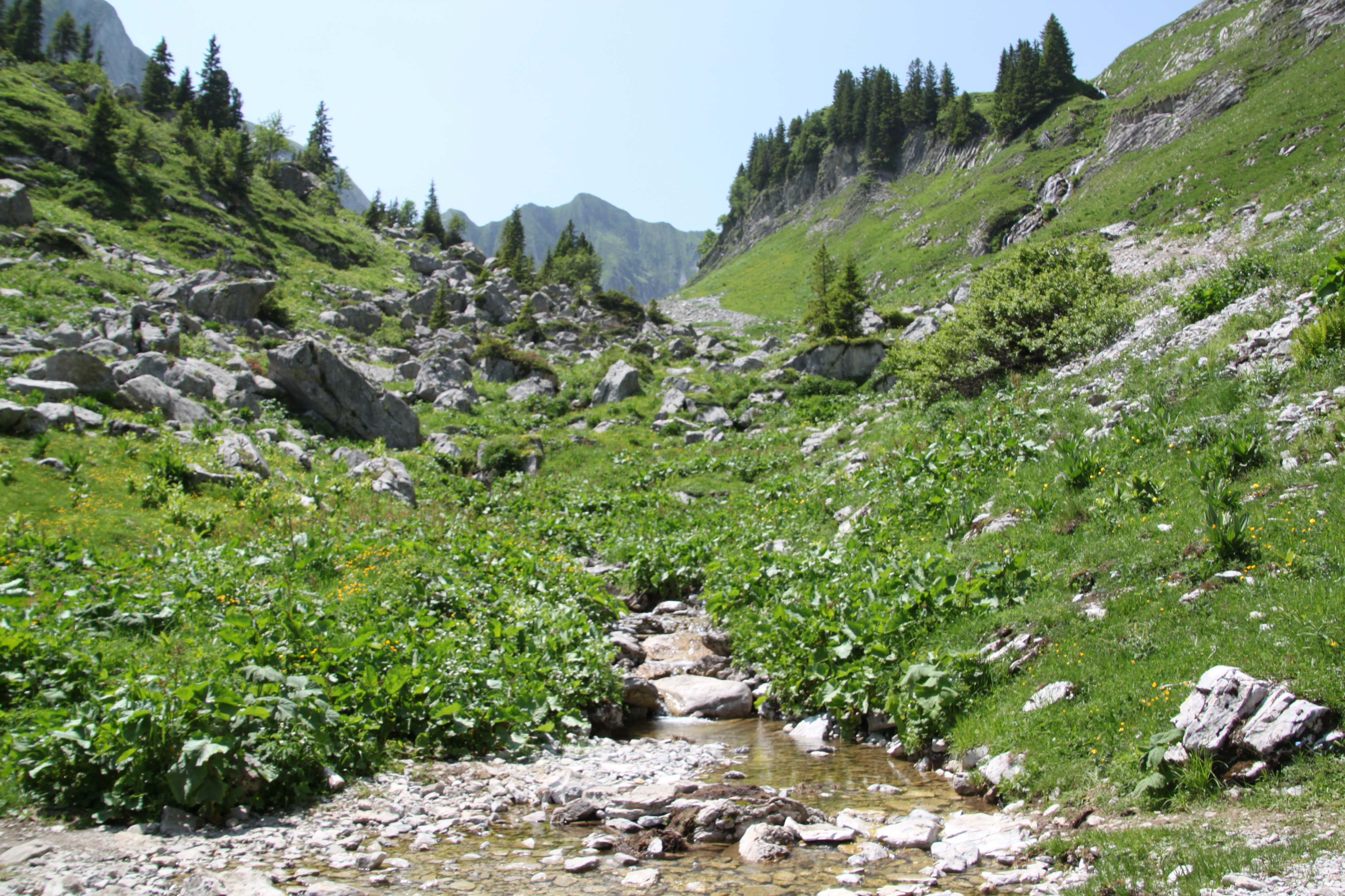 Vallon des Morteys
