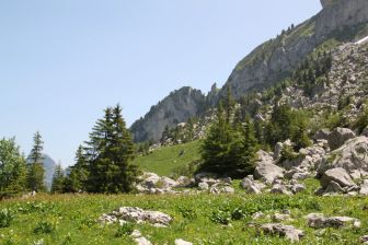 Vallon des Morteys en direction des Marindes