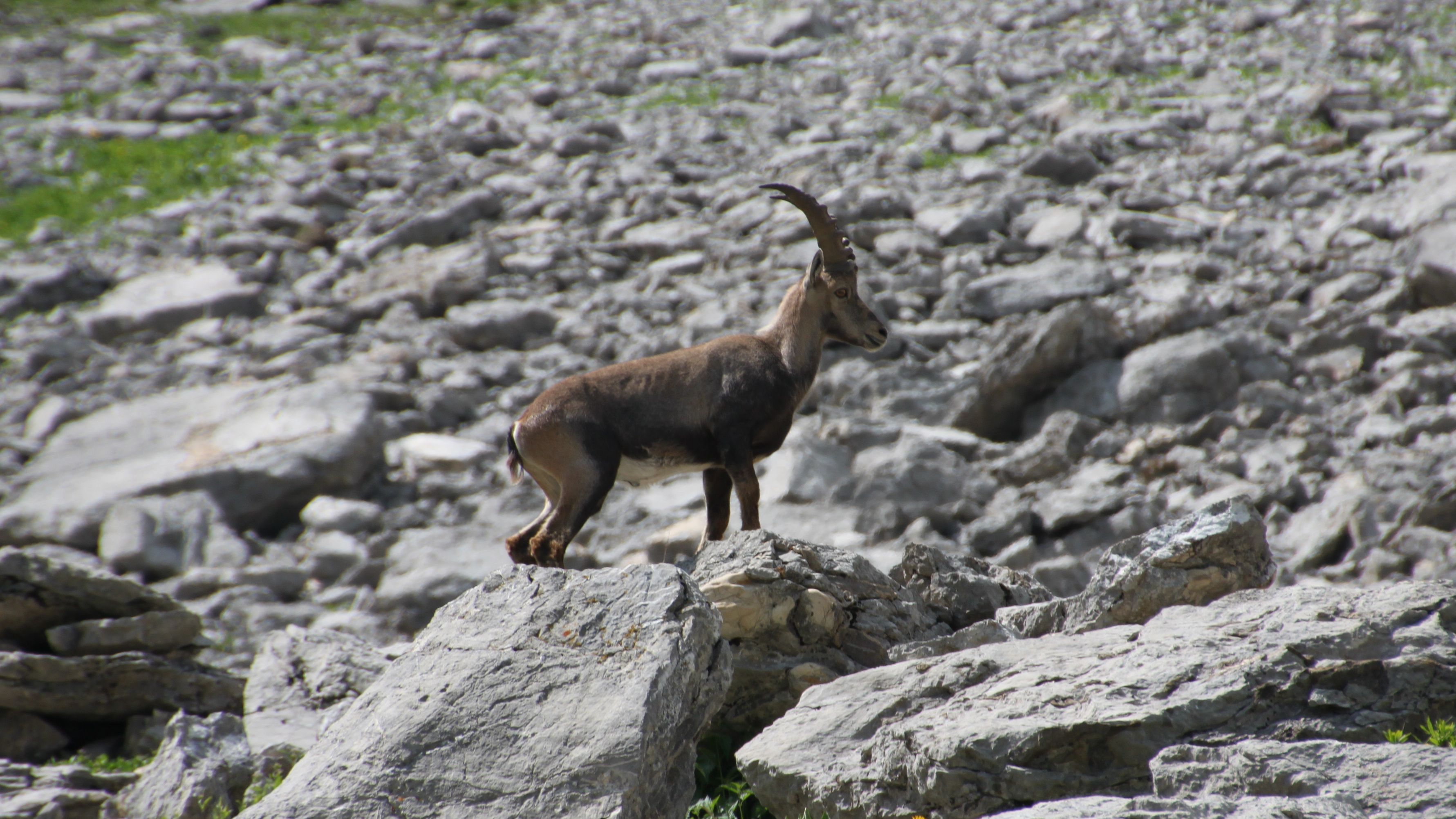 IMG 7768 1