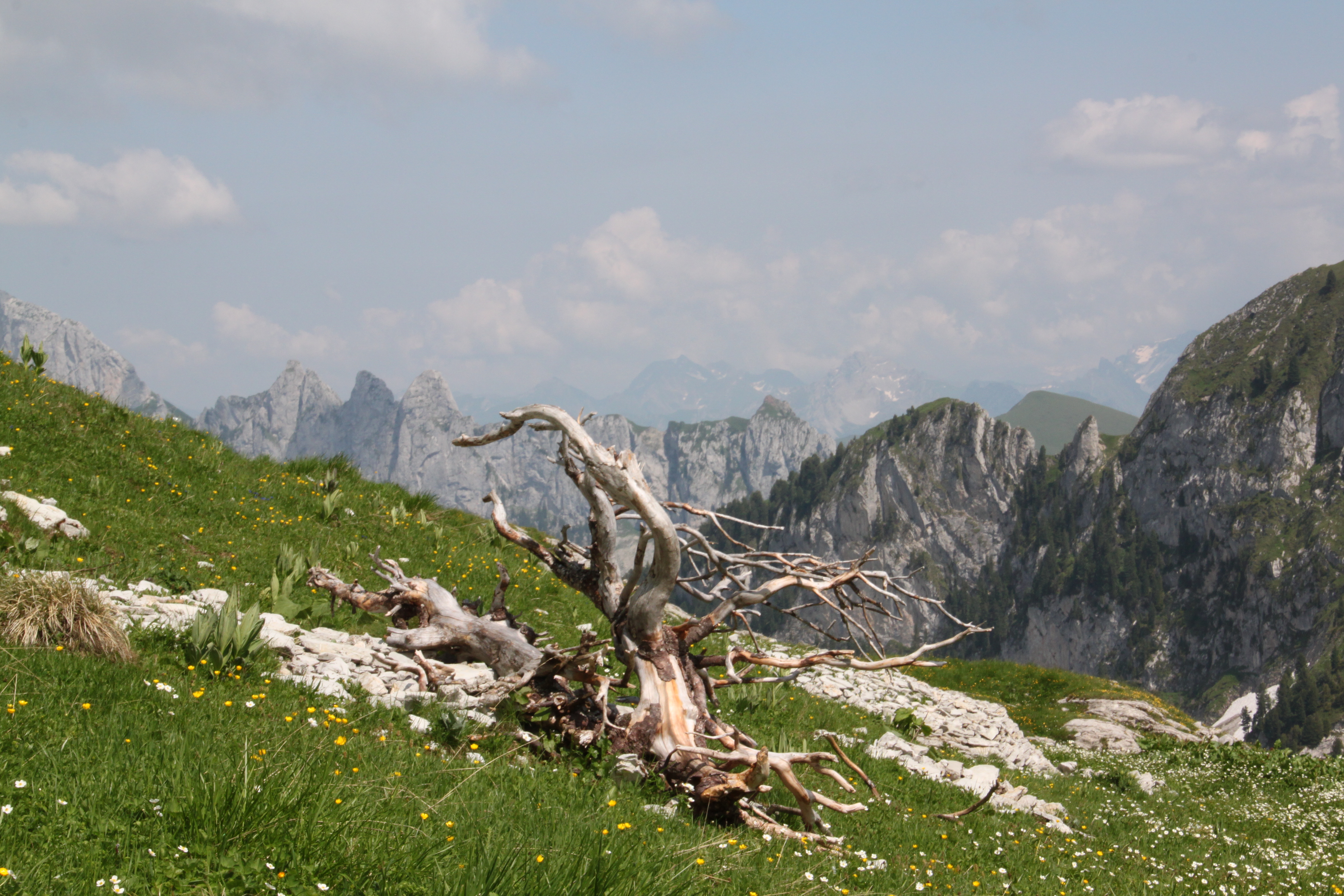 IMG 7795