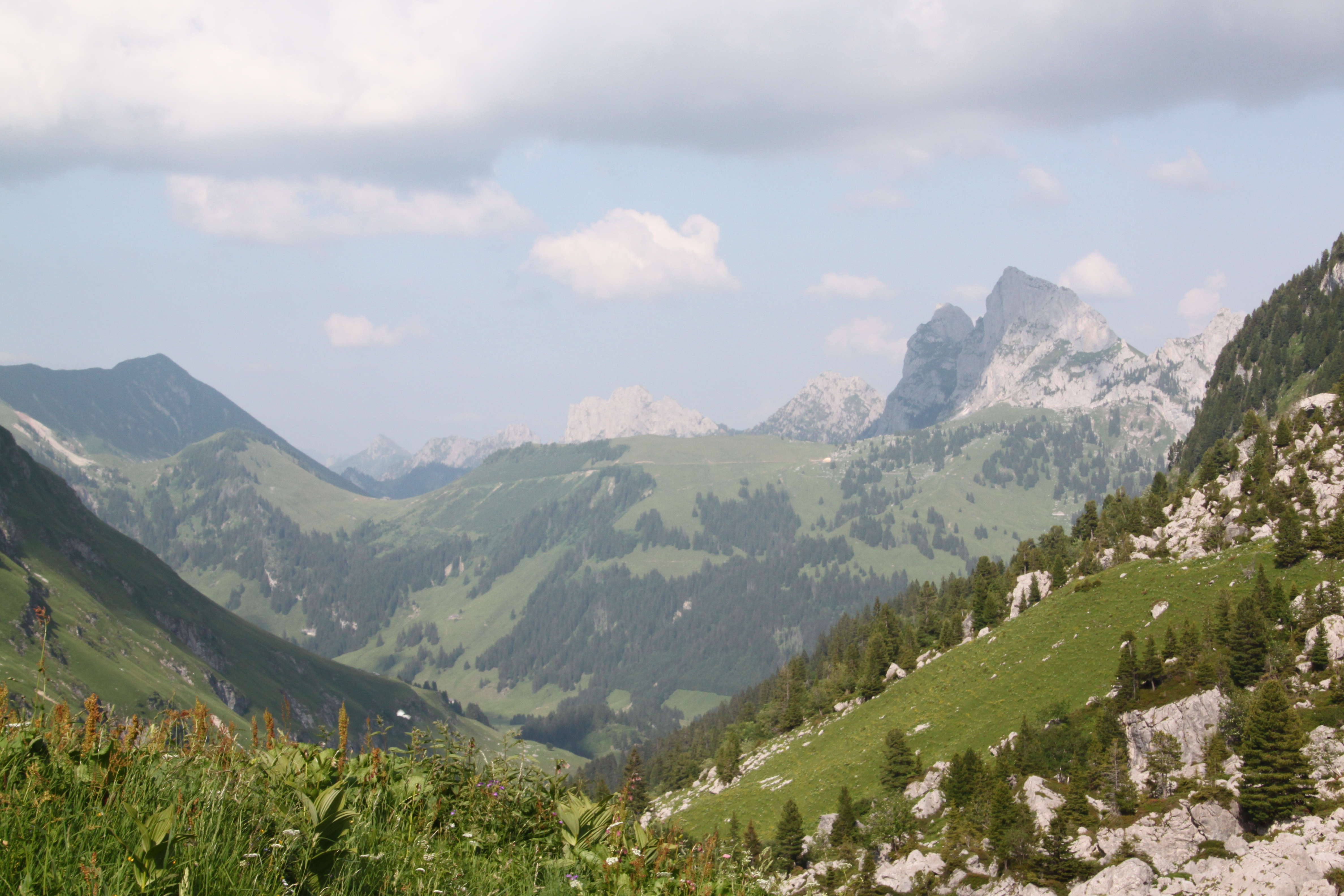 IMG 7832