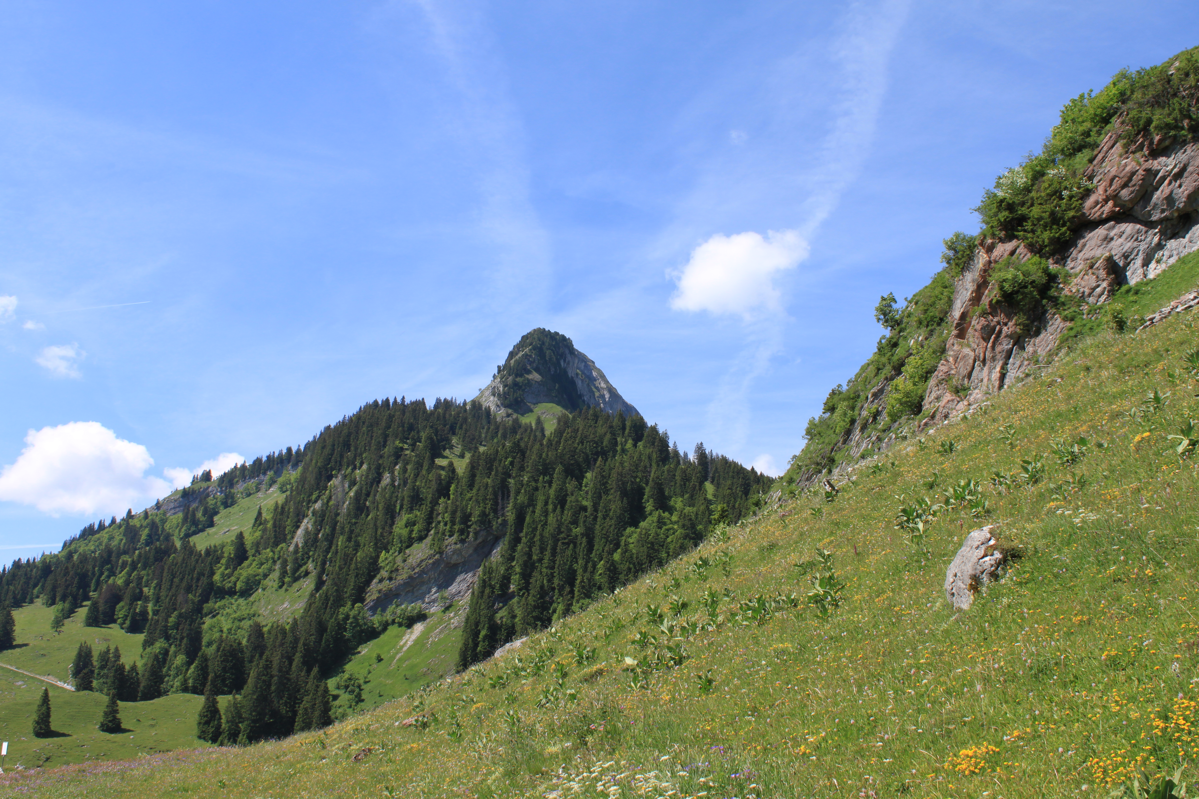 Montagne du Vanil Noir dans les Préalpes fribourgeoises