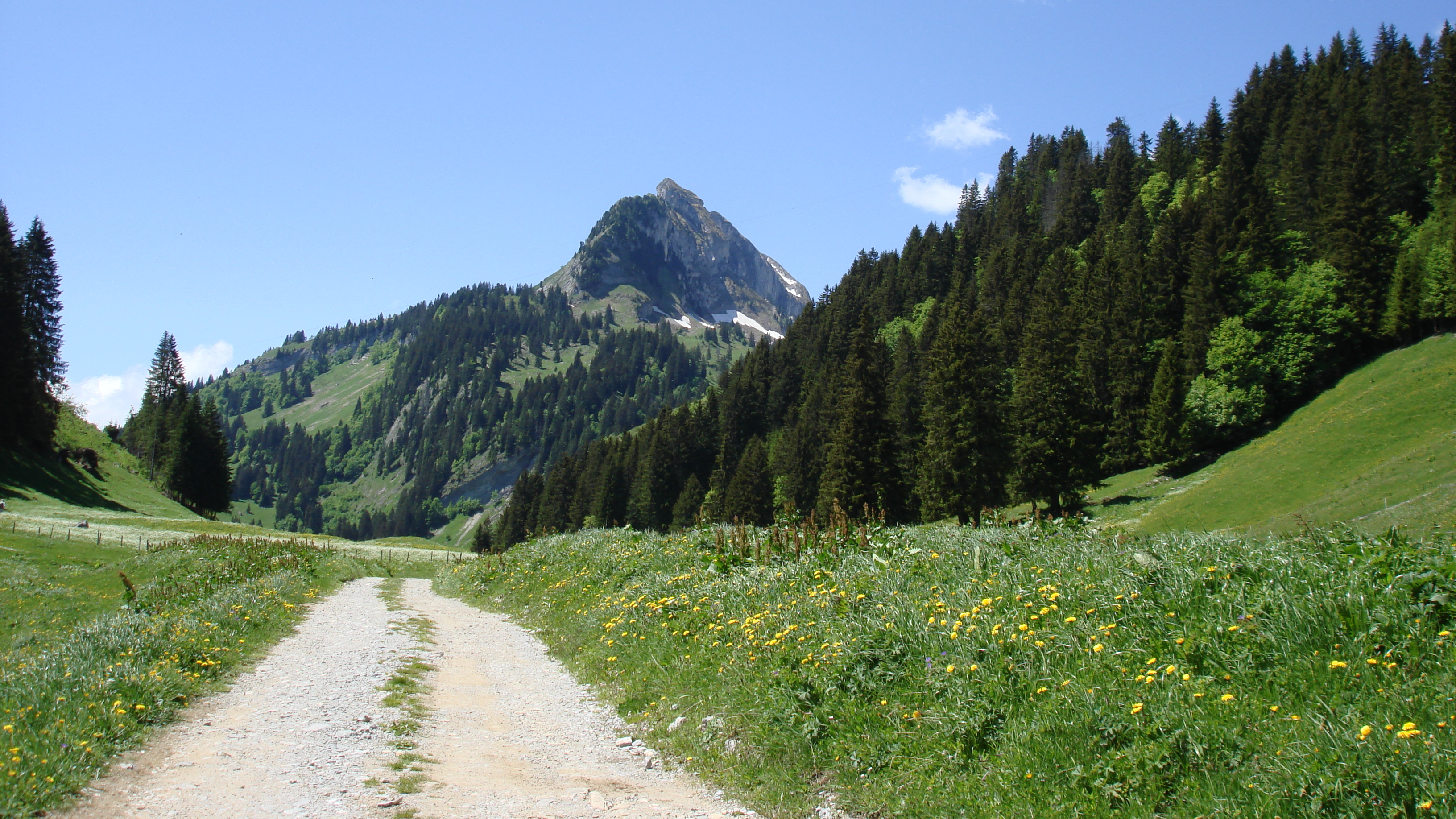 Chemin entre le parking de Gros Mont et la réserve naturelle du Vanil Noir