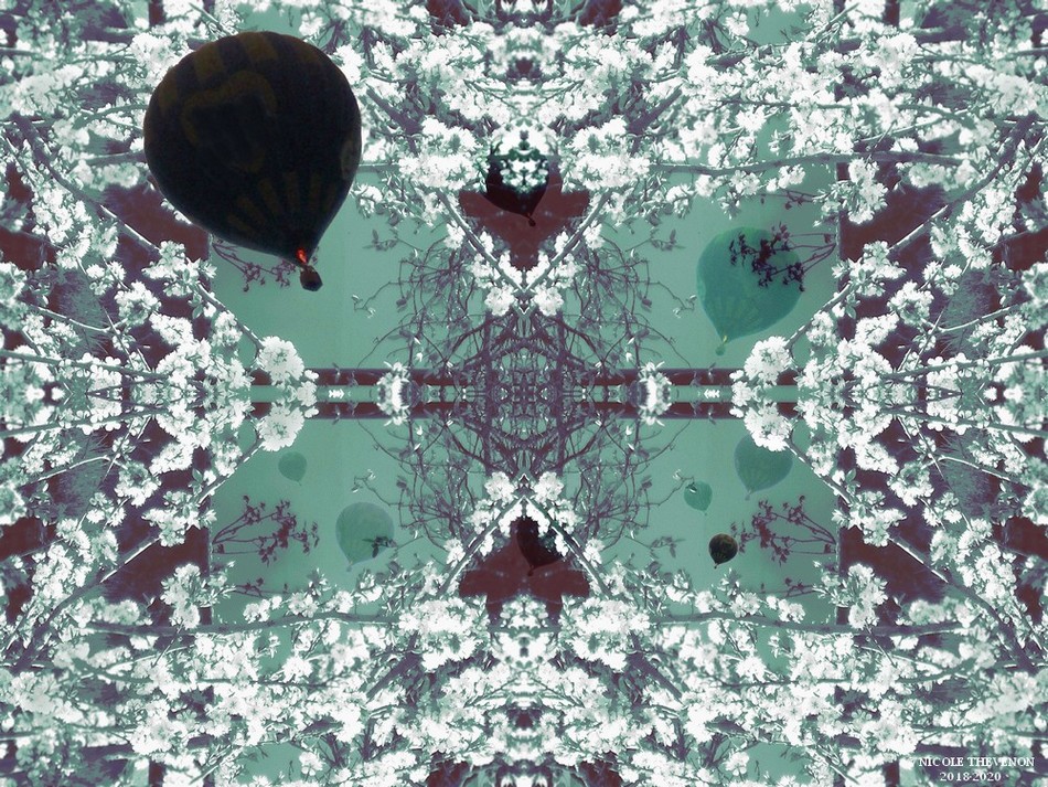 Jardin 3