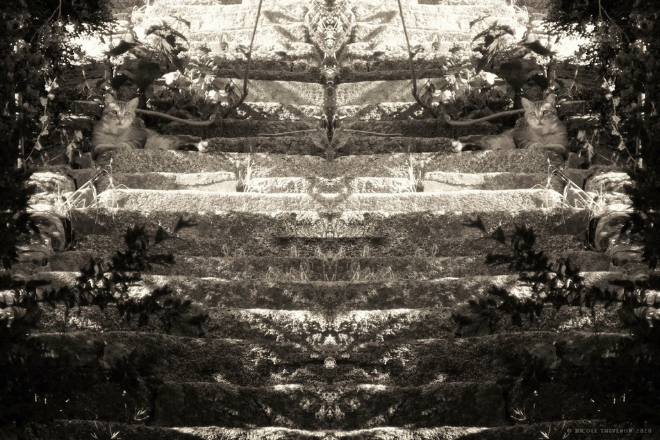 Les gardiens du temple tv