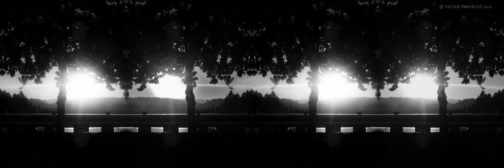 Somnolence