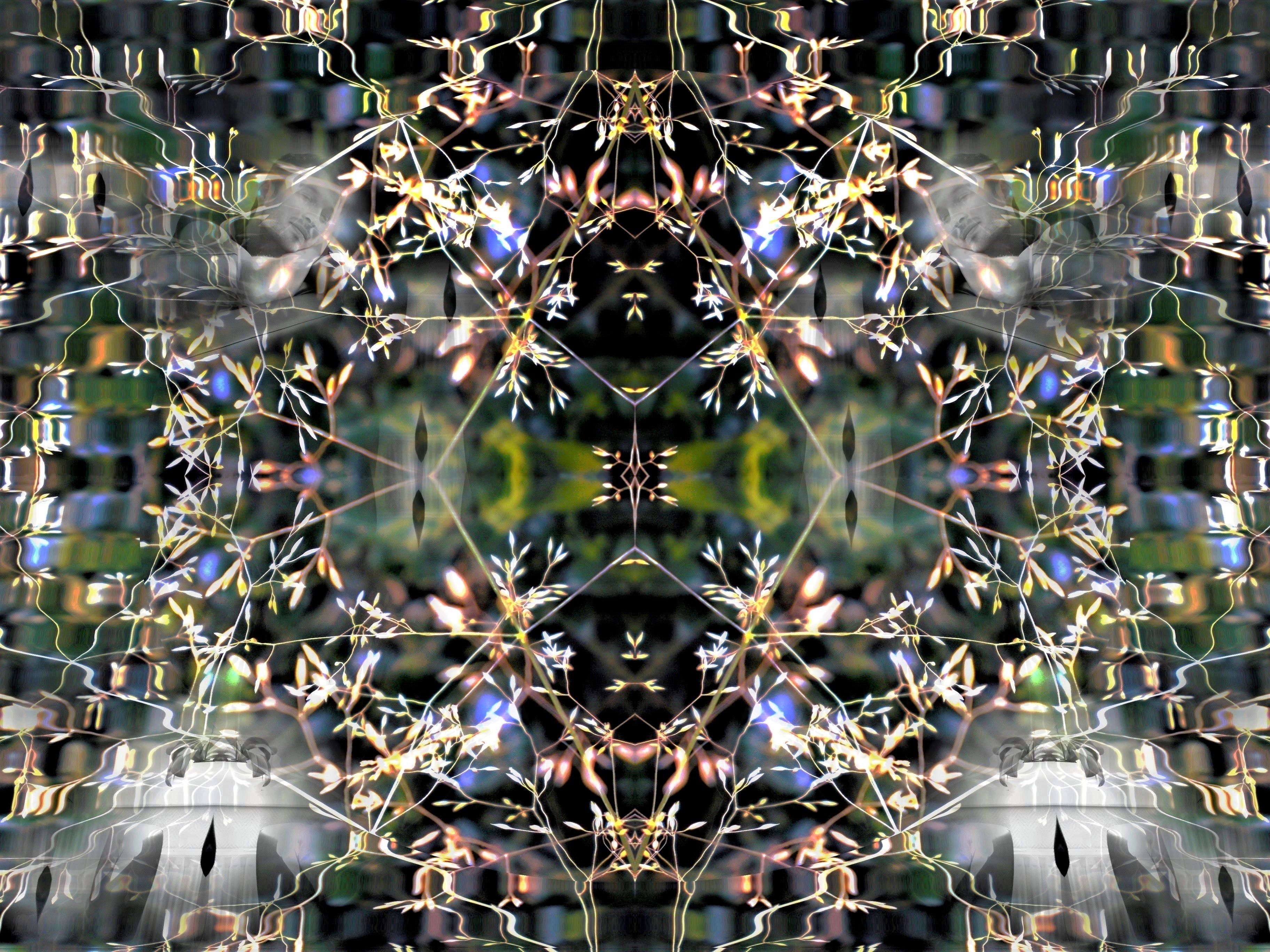 Reve electrique serie reves cartesiens r