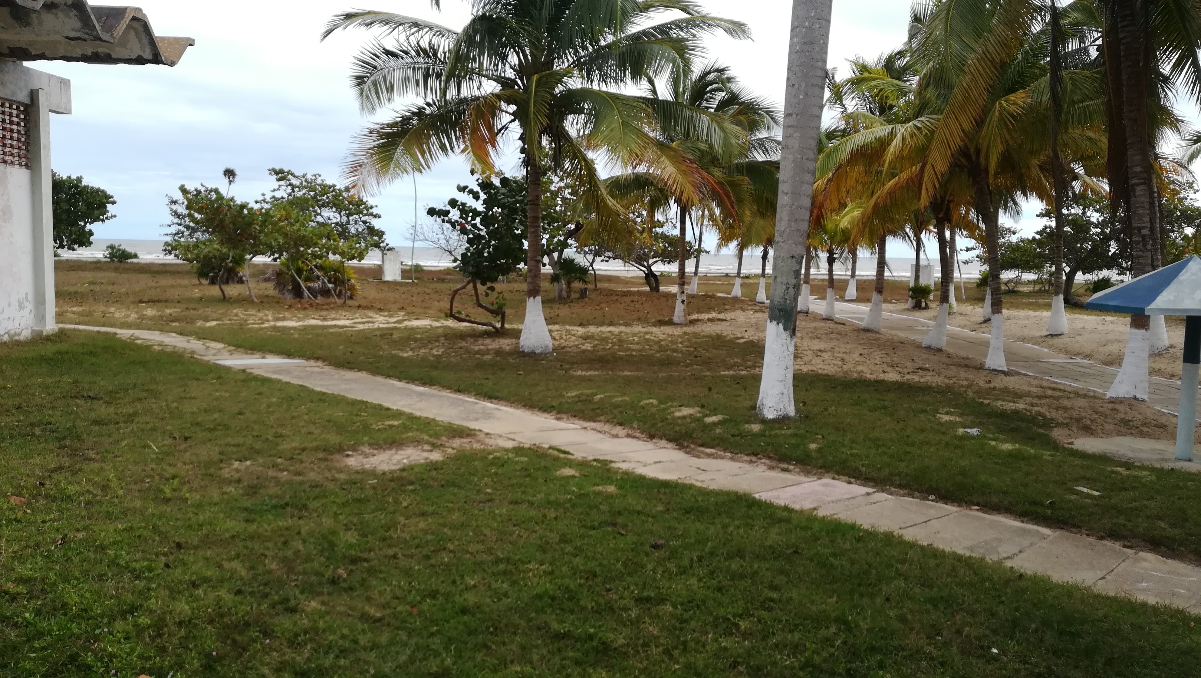 Cuba fev 2019 24 
