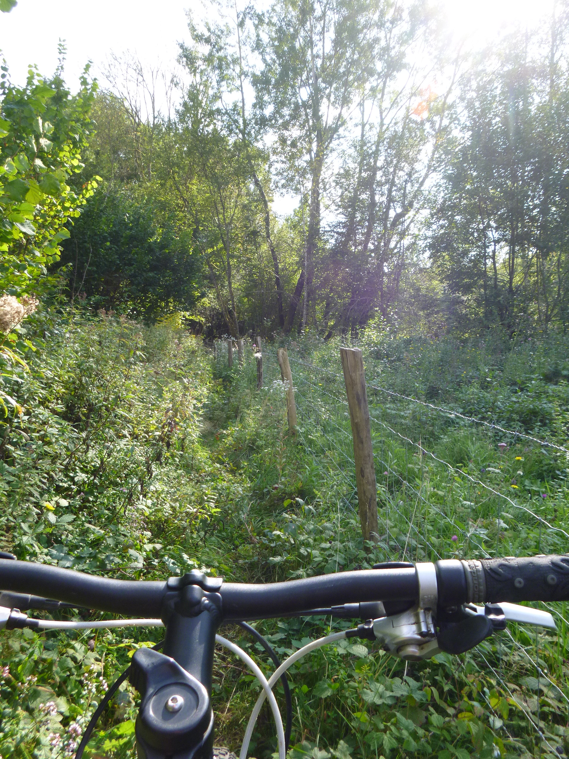 Vtt pissevielle lavans 14 030