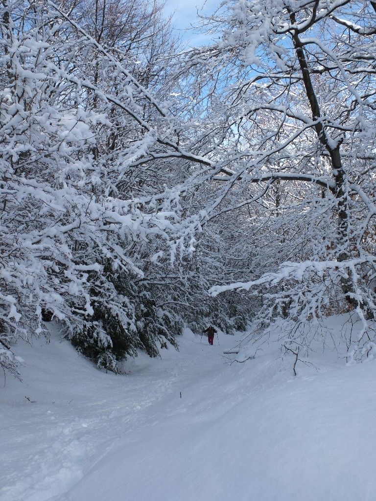 Col de mian