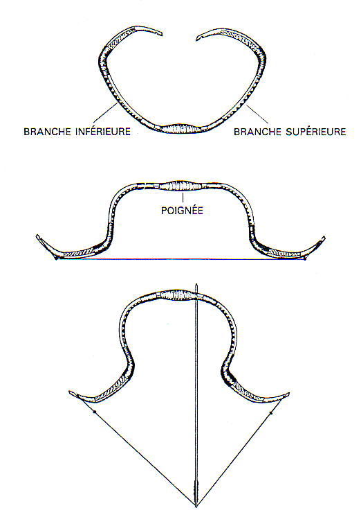 Arc-reflexe-palintone