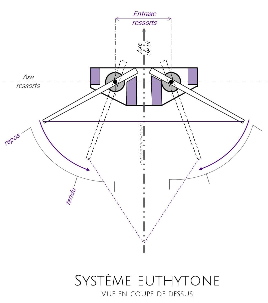 Difference-Euthytone-min