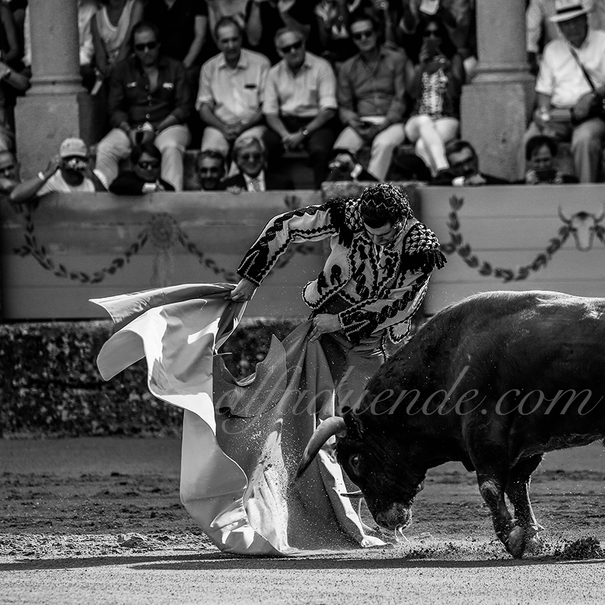 20190831 002 ronda p58a4077 copie