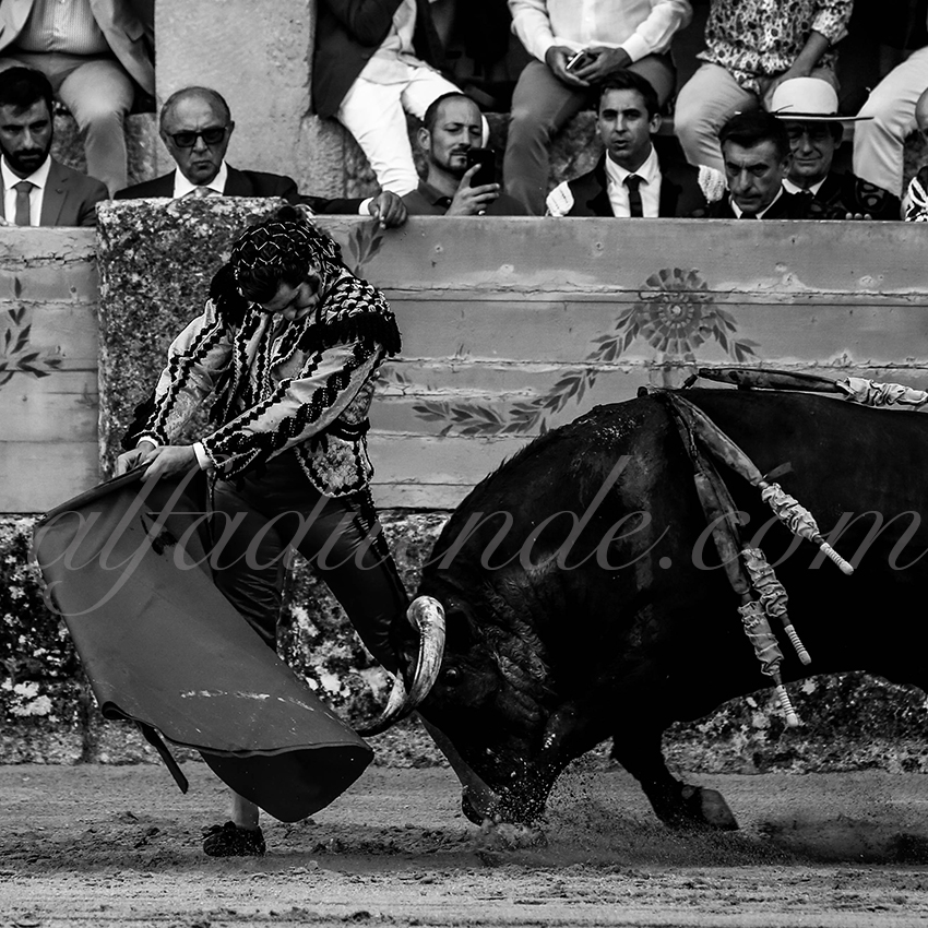 20190831 005 ronda p58a4638 copie