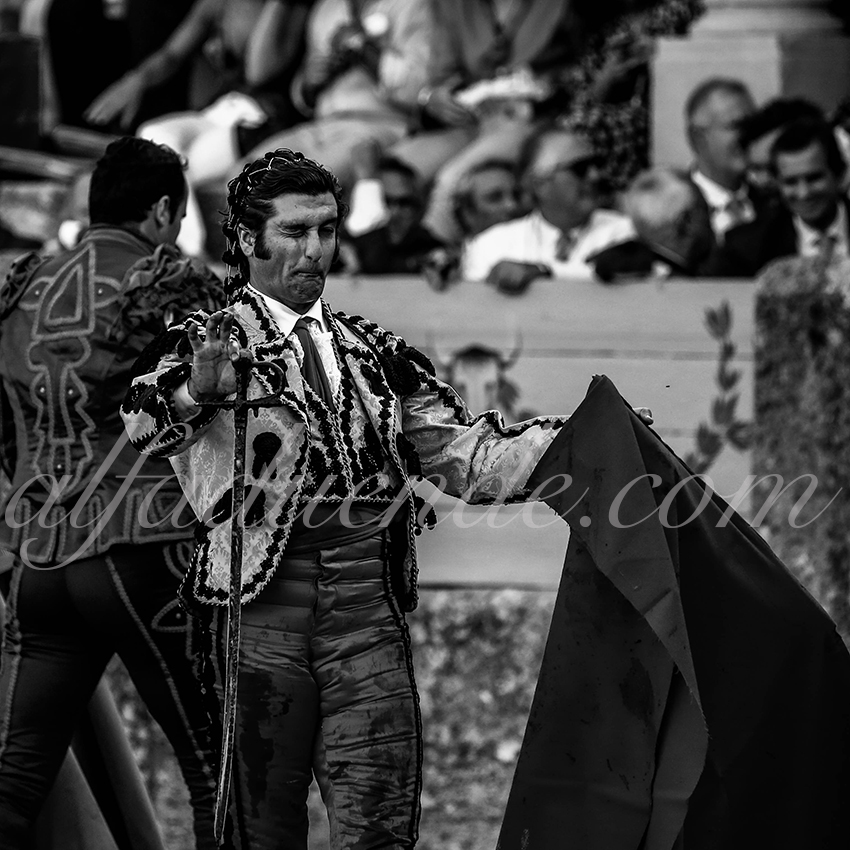 20190831 008 ronda p58a4858 copie