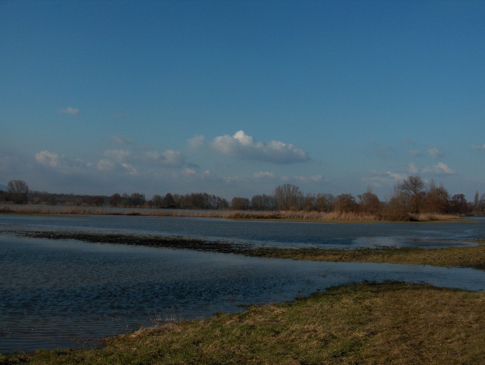 HPIM0983