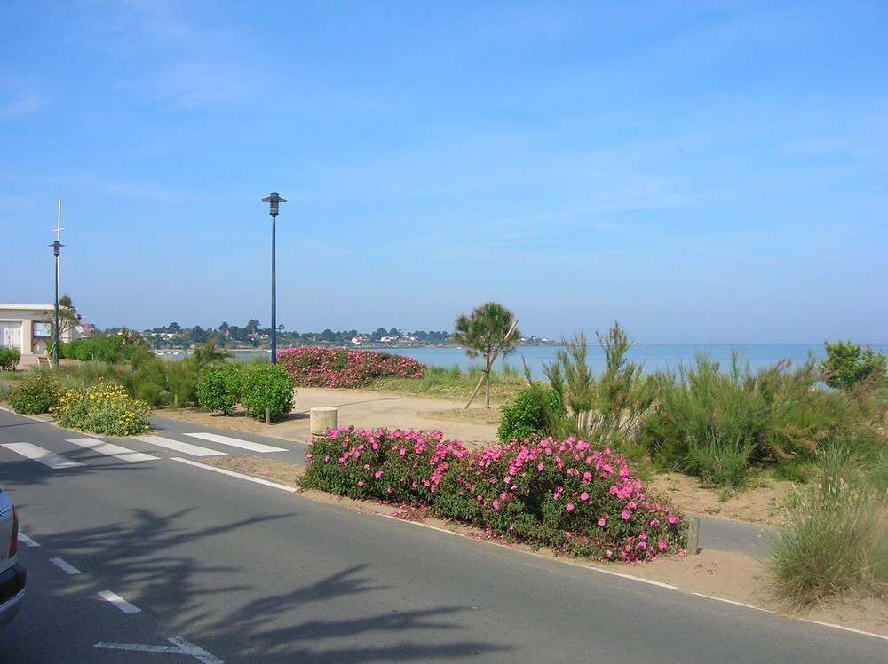 Juillet 2006 2