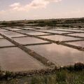 Marais salants q 1 