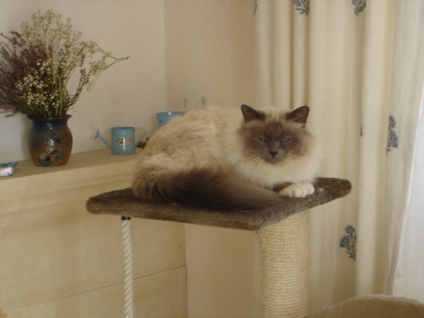 Dsc03258