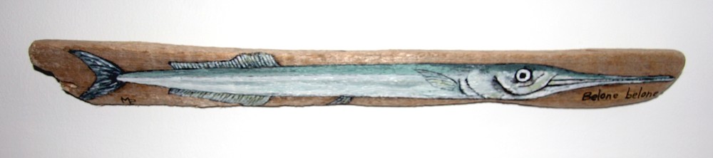 Orphie (aiguillette)