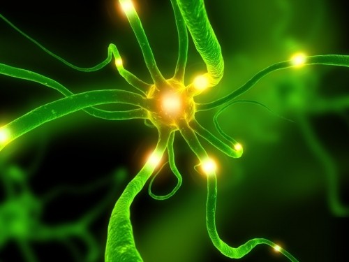 Crise d epilepsie neurone decharge