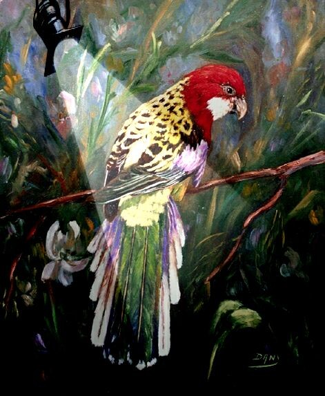 Perroquet eclaire