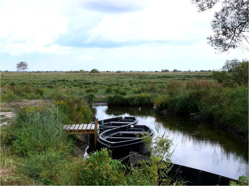 Barques 2