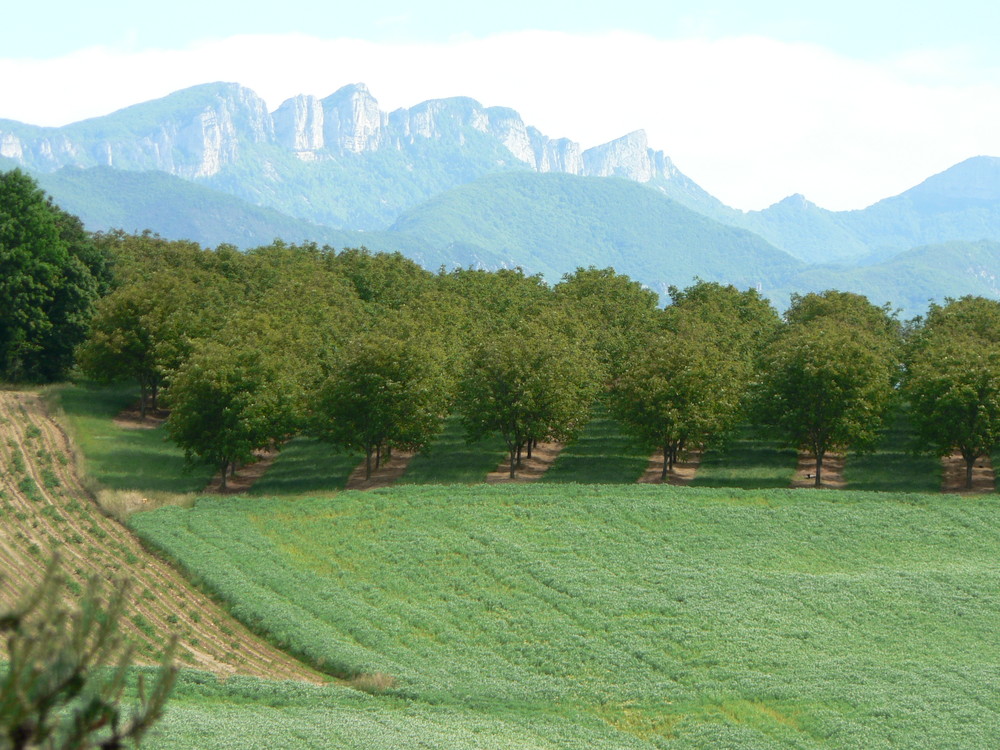 Les Monts du Matin Vercors