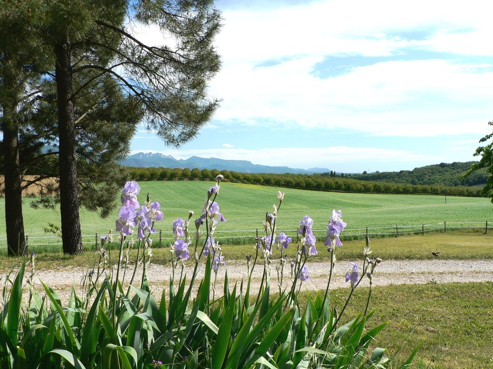 Vue sur le Vercors : les monts du matin