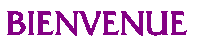 Texte bienvenue 006