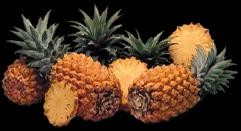 4ananas2
