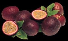 4fruitspassion