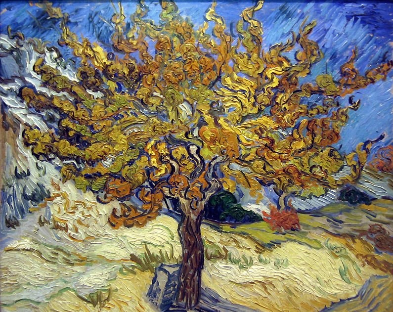 Van gogh murier l